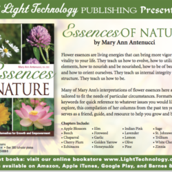 Essences of Nature card