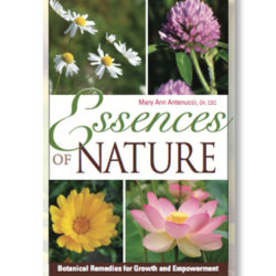 essences of nature book - mary ann antenucci